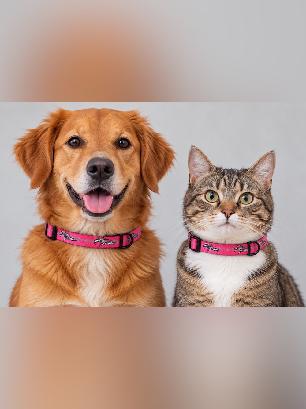 Harley-Davidson Pink Adjustable Pet Collar for Dogs & Cats